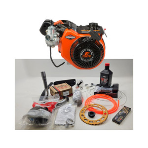 Briggs LO206 SR #219 Package Briggs LO206 SR #219 Package