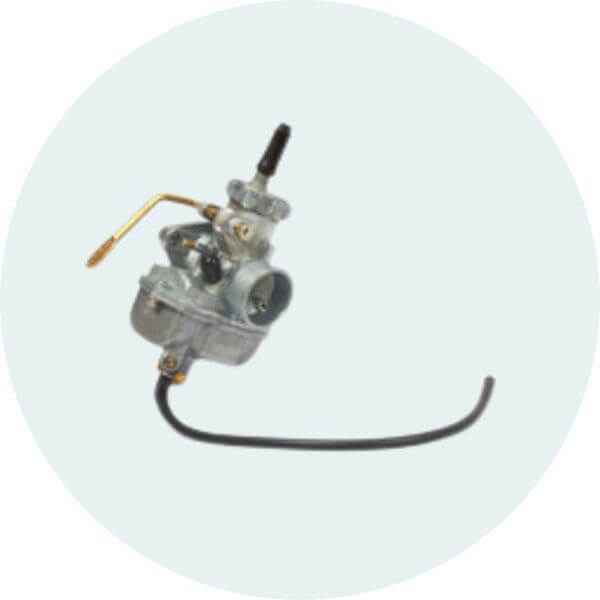 Briggs 206 Carburetor