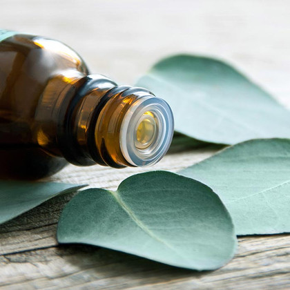 What is eucalyptus oil and how it can be used in your skincare routine?
