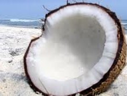 What is Coconut Oil?