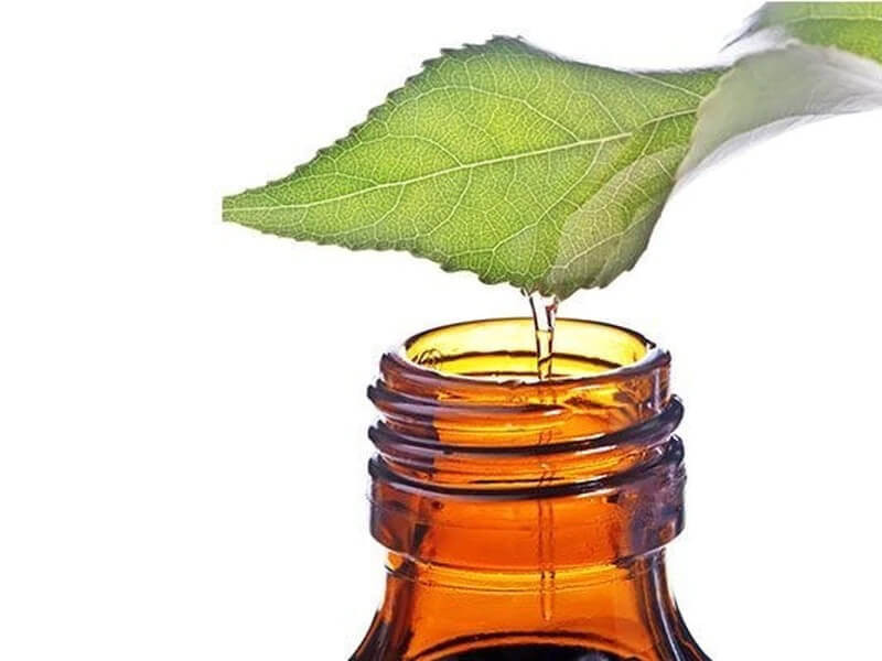 22 Things You Should Know About Essential Oils