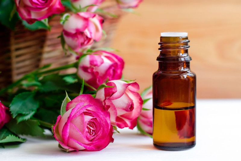 Free: Young Living Rose oil Essential oil Damask rose, oil