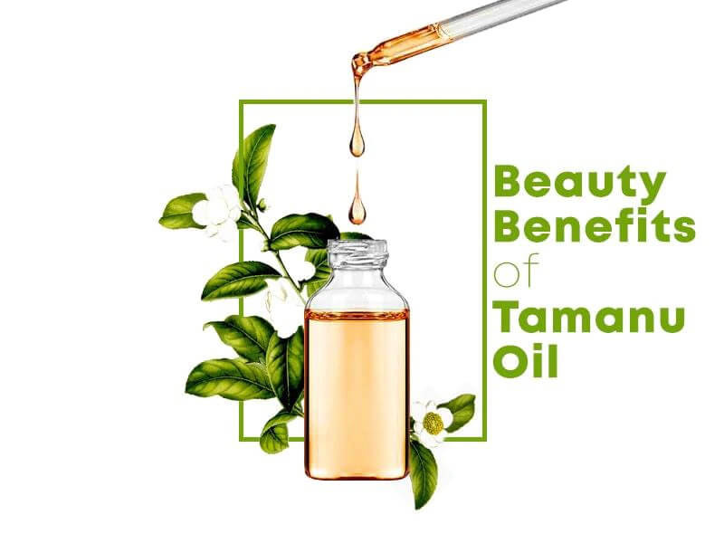 Beauty Benefits of Tamanu Oil