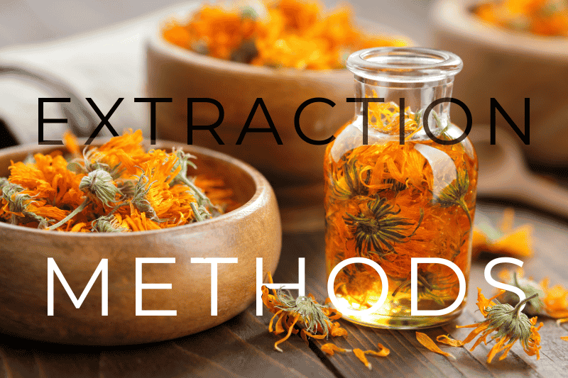 The Different Methods of Essential Oil Extraction Explained