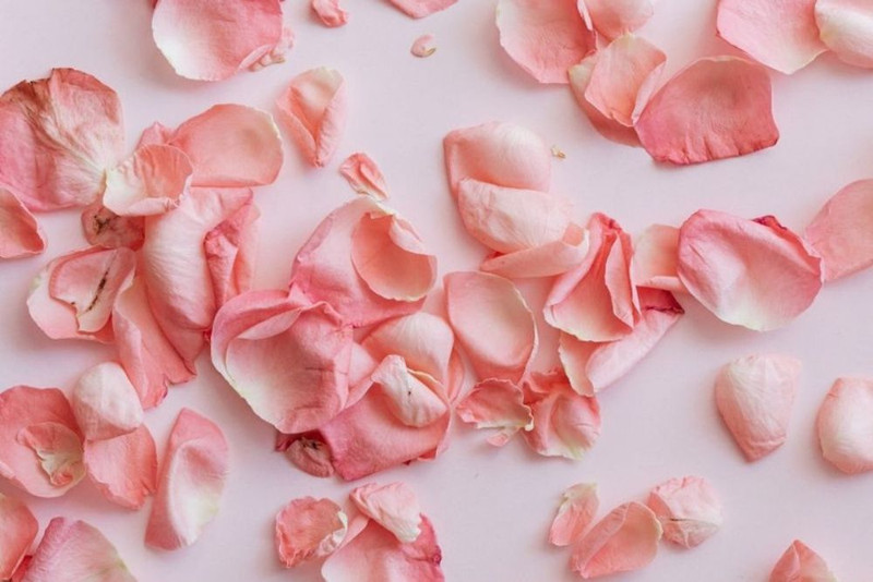 How to Dry Rose Petals, DIY Drying Rose Flowers