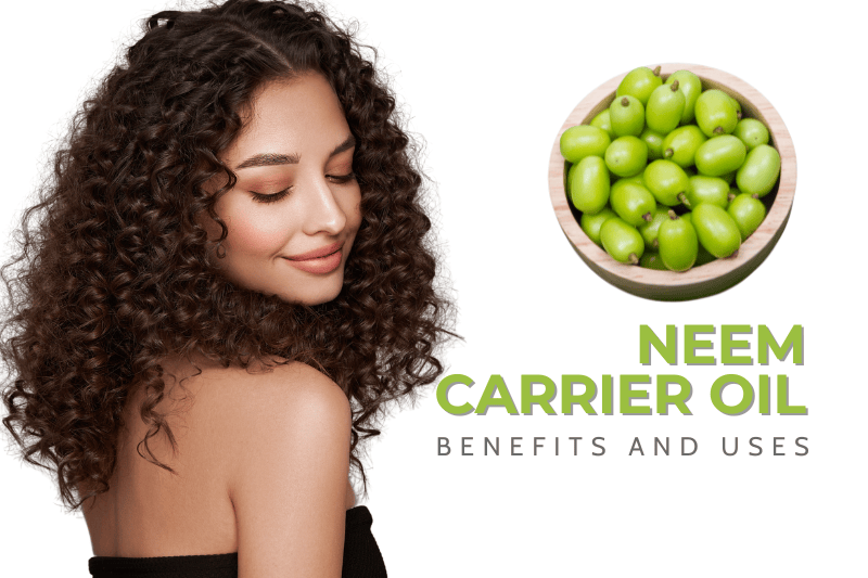 Neem Carrier Oil: Benefits and Uses