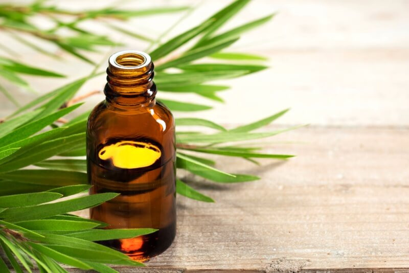 The Aussie’s Oil: Tea Tree Essential Oil