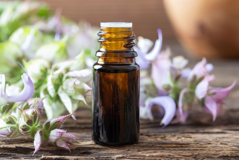 The Many Benefits of Clary Sage Oil Nessentials Pty Ltd
