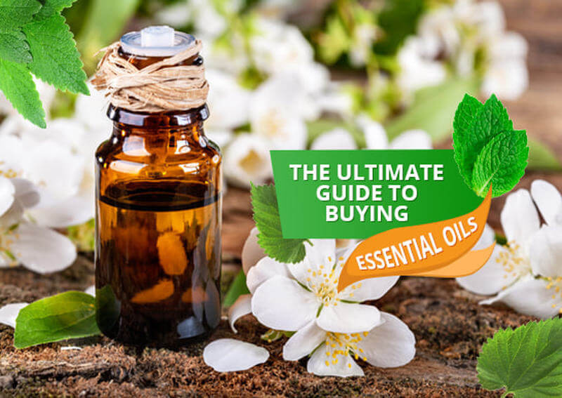 Modern Essentials: Essential Oils & Blend Quick Usage Chart