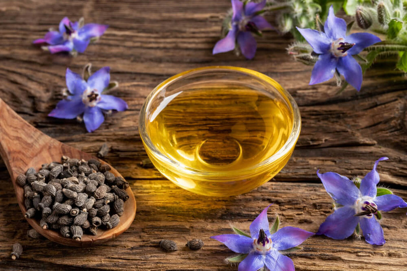 Uses and Benefits of Borage Carrier Oil