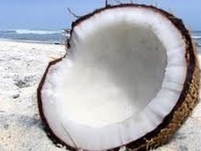 What is Coconut Oil?