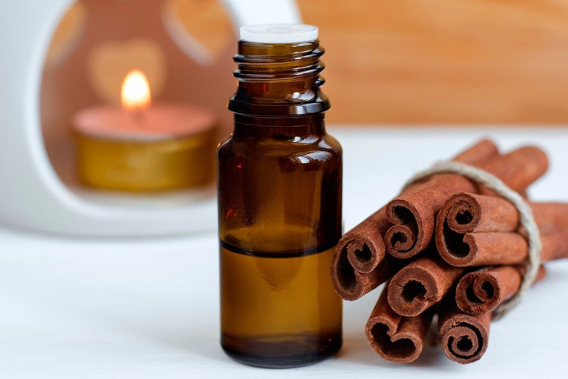 Cinnamon Bark Essential Oil — Wholesale Botanics