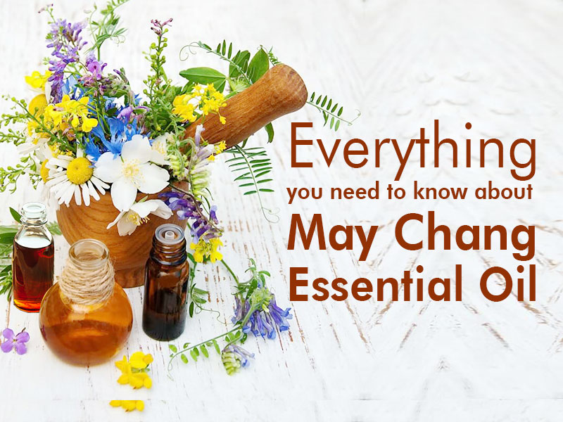 Everything you need to know about May Chang Essential Oil