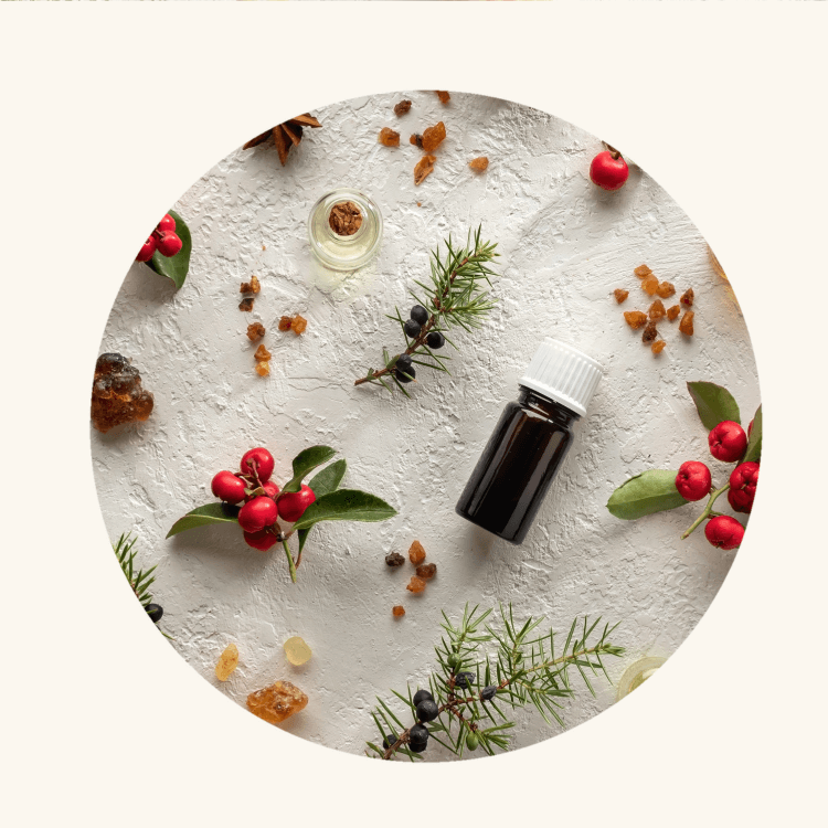 An amber glass dropper bottle of essential oil at the center, surrounded by holly-like branches with green leaves and red berries