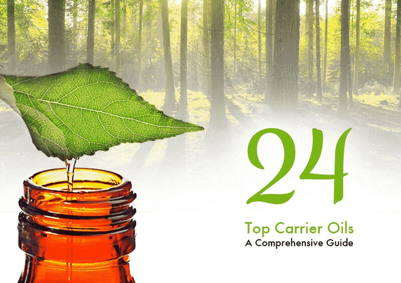 24 Top Carrier Oils - A Comprehensive Guide