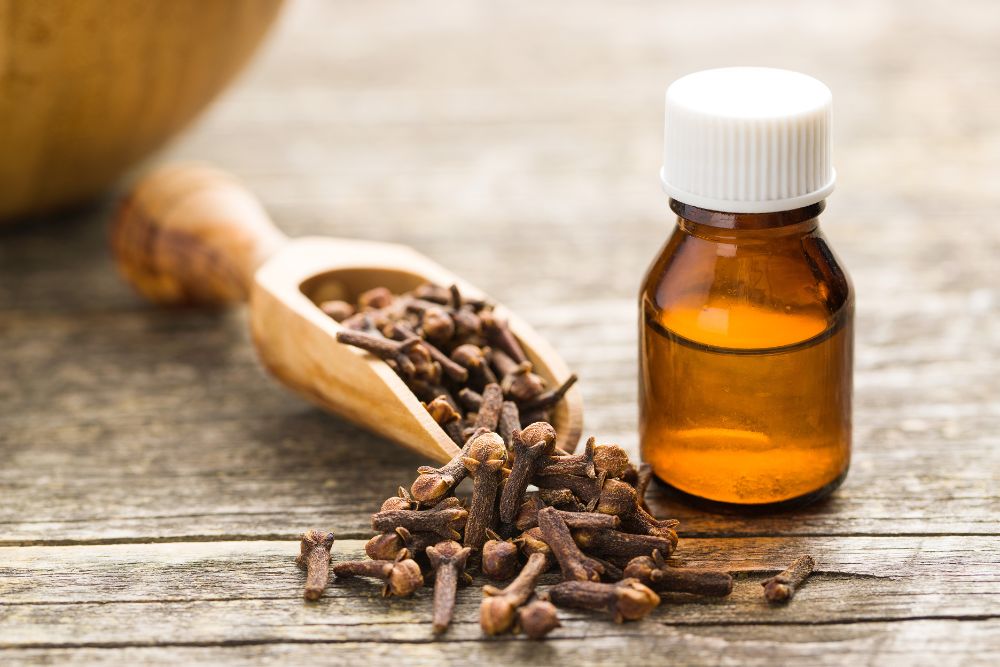 3 Household Uses For Clove Leaf Oil