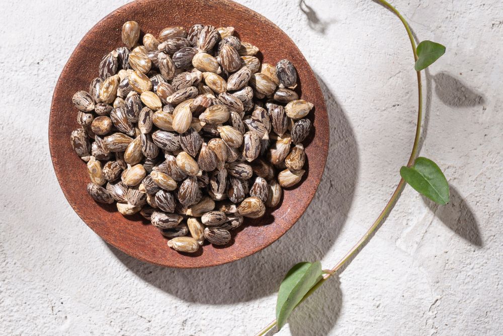 4 Benefits to Castor Oil