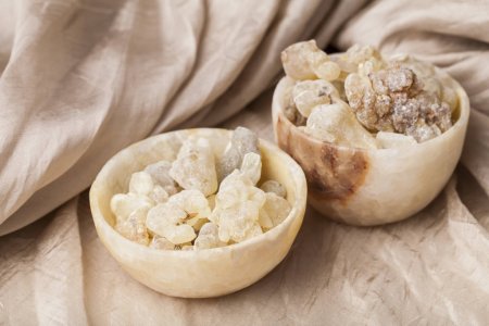 Frankincense Oil: King of Essential Oils