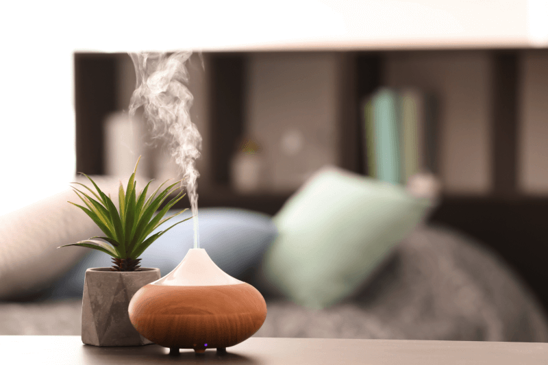 Essential Oil Recipes for Your Home Diffuser