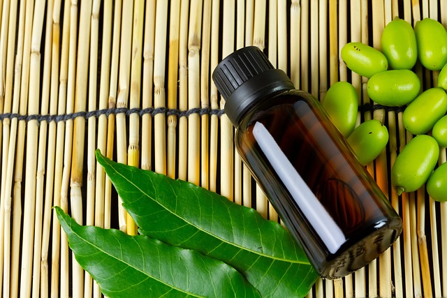 How to incorporate neem oil into your beauty routine