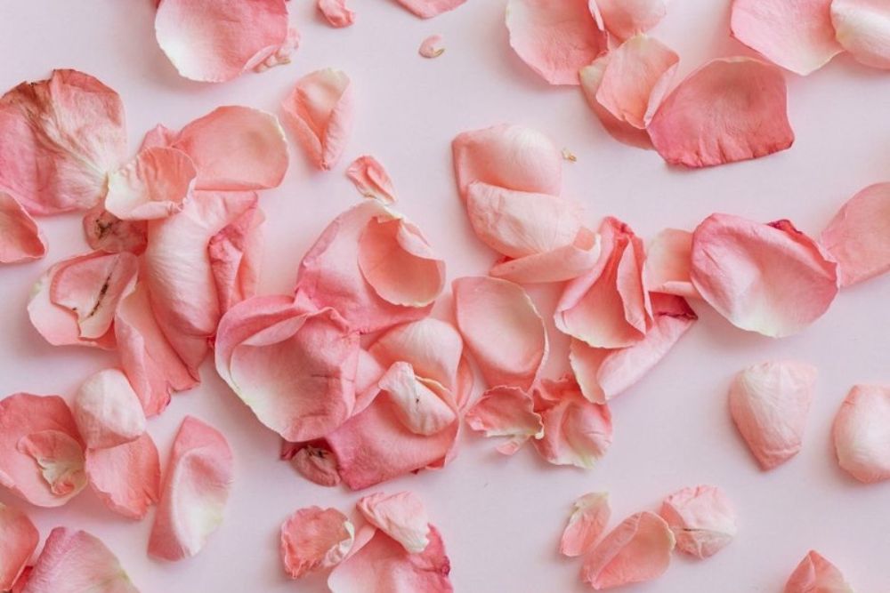 How To Make Your Own Rose Water With Dried Roses