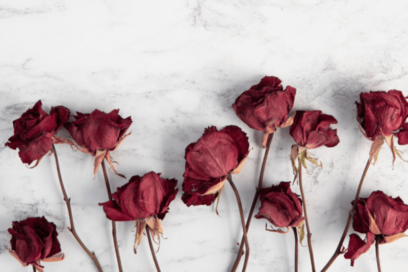 How to Use Dried Botanical Flowers at Home
