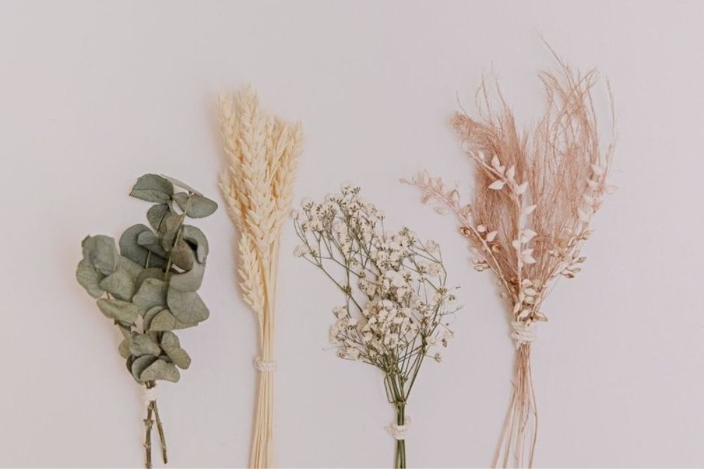 How To Use Dried Botanicals Around The Home
