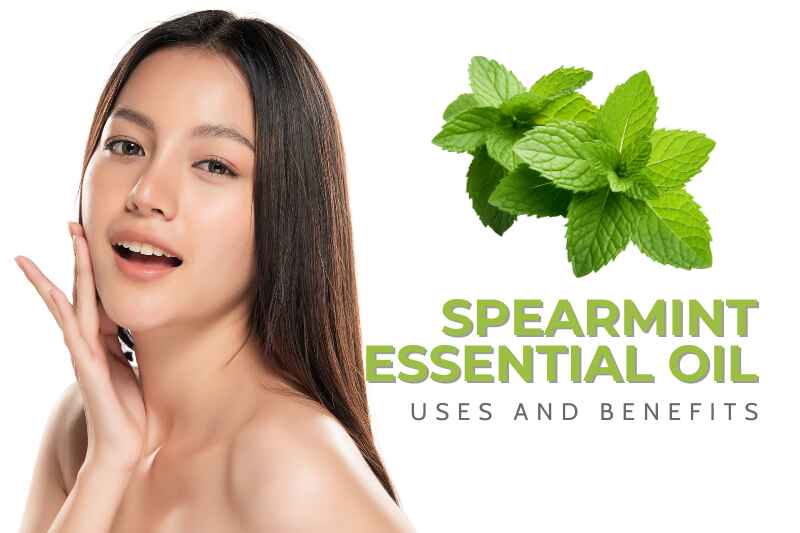 Spearmint Oil: Uses and Benefits