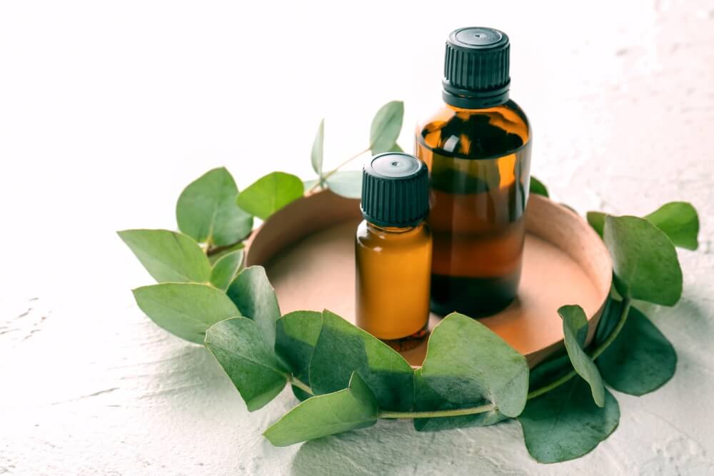 The Aromatic Effects of Eucalyptus Essential Oil