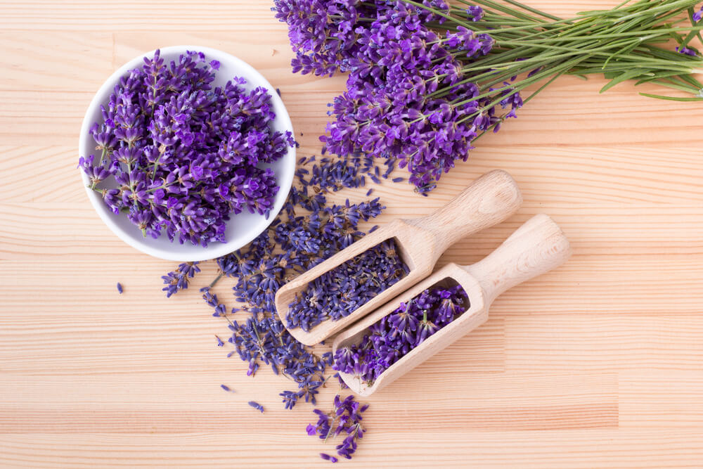 The Beauty Effects of Lavender Essential Oil