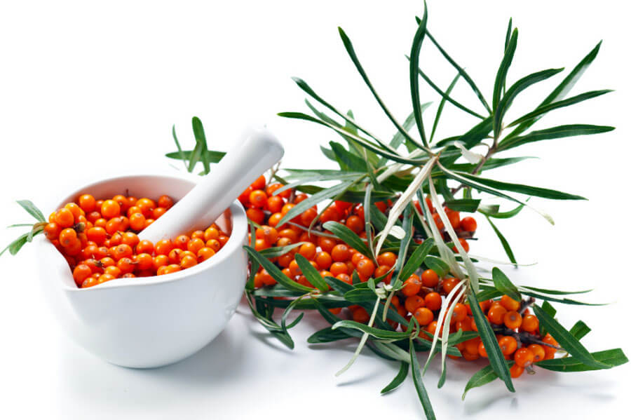 THE HISTORICAL ALLURE OF SEABUCKTHORN OIL