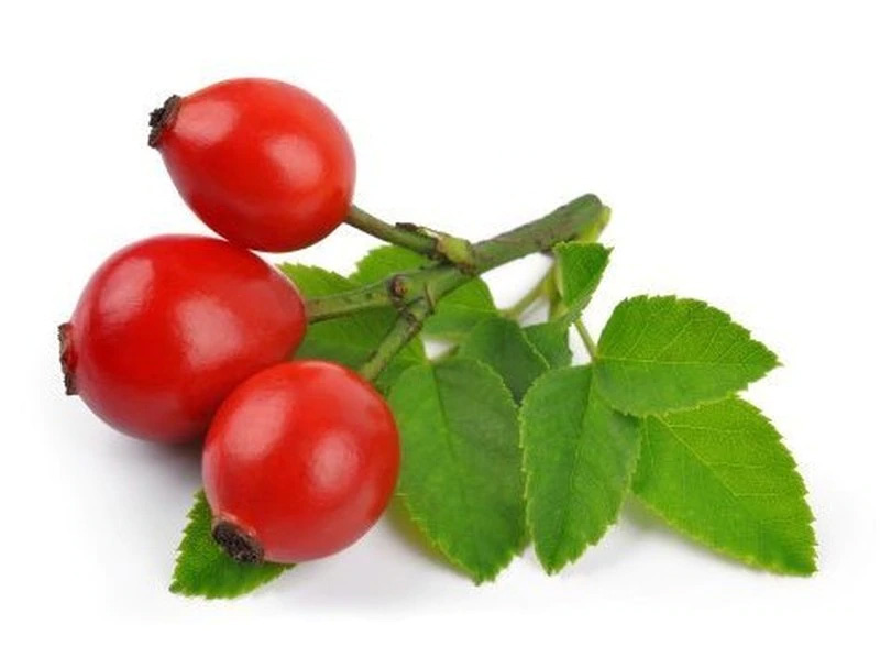 What is Rosehip Oil?