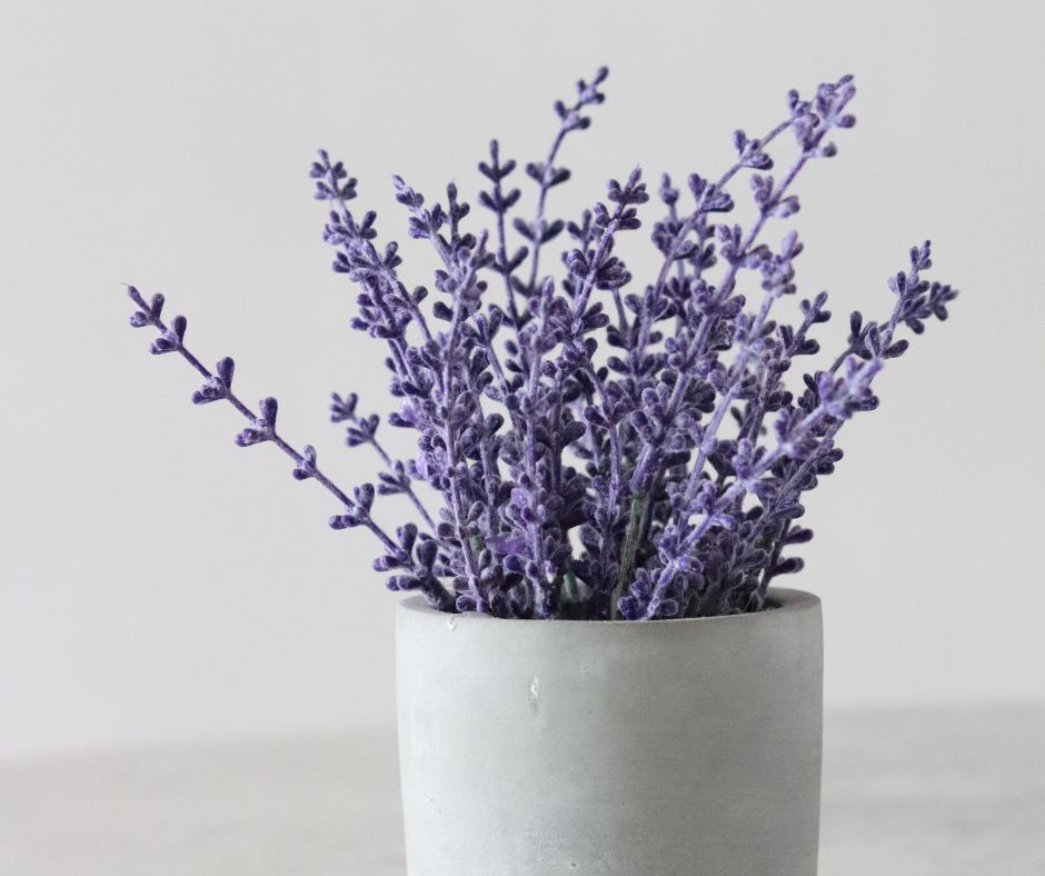 How to Use Wholesale Dried Flowers in your Skin Routine?