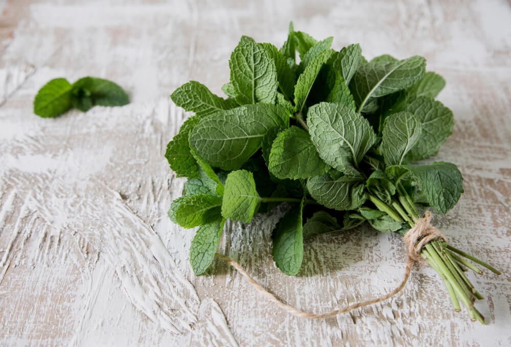Why is Peppermint Oil Good for You?