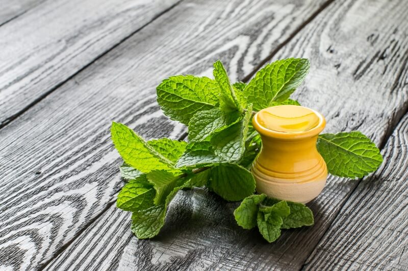 6 Benefits of Spearmint Essential Oil