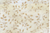 Folio Basics; Designer: Color Principle; Vendor: Henry Glass; 100% Cotton; 43/44" wide