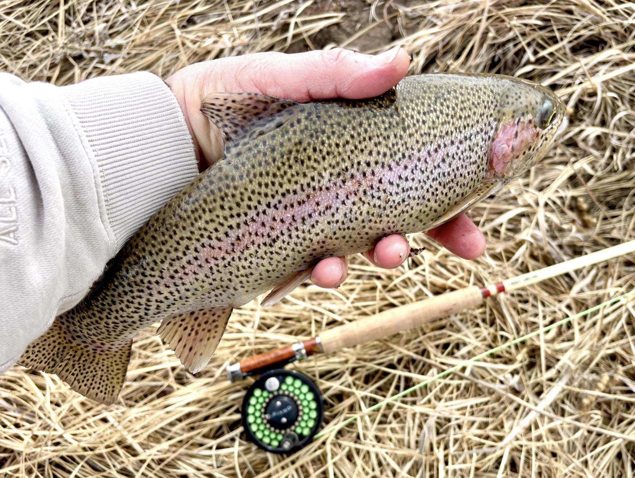 Struble Fly Rod Components