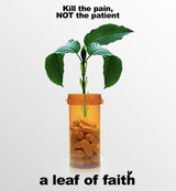 Movie: A Leaf of Faith