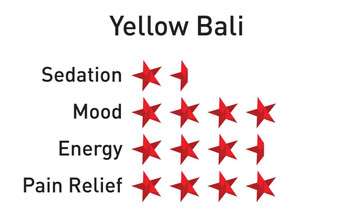 Krabot Yellow Bali