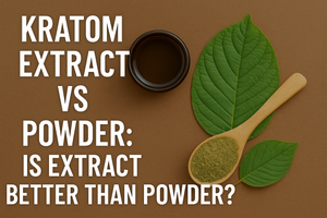 Kratom Extract vs Powder: Is Extract Better Than Powder?