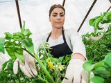 Gardening clothes embroidered