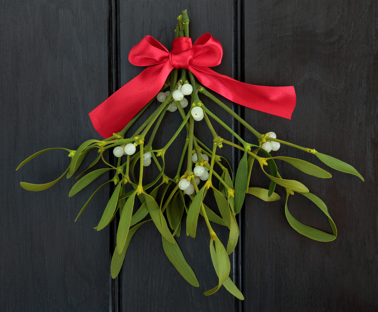 Native Wildflowers Mistletoe