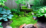 Moss garden is a low maintenance way to keep area beautiful.