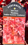 Coral Bells - Indian Summer Cranberry