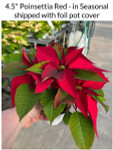 Poinsettias shipped directly to your door.