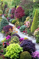 A Color Theme Garden