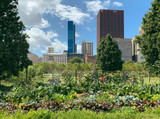 The Many Benefits of Urban Gardening: Creating Healthier Cities and Communities