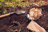 The Benefits of Fall Planting: A Guide to Planting Native Plants in Autumn The Benefits of Fall Planting: A Guide to Planting Native Plants in Autumn