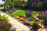 5 Tips to Make Your Yard Look Like You Hired a Landscaper