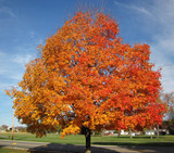 ​Fall is the Best Time for Gardening